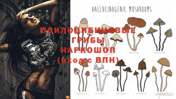 марки lsd Богородицк