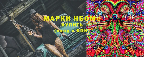 гашик Верея