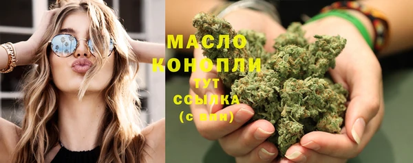 гашик Верея
